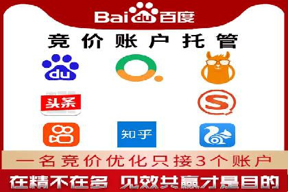 竞价推广中的着陆页策略：成功案例解读